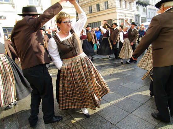 Linzer Maibaum 61.JPG